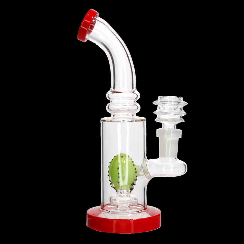 7" Cactus Perc Rig Bong Water Pipe | Wholesale Glass Bongs