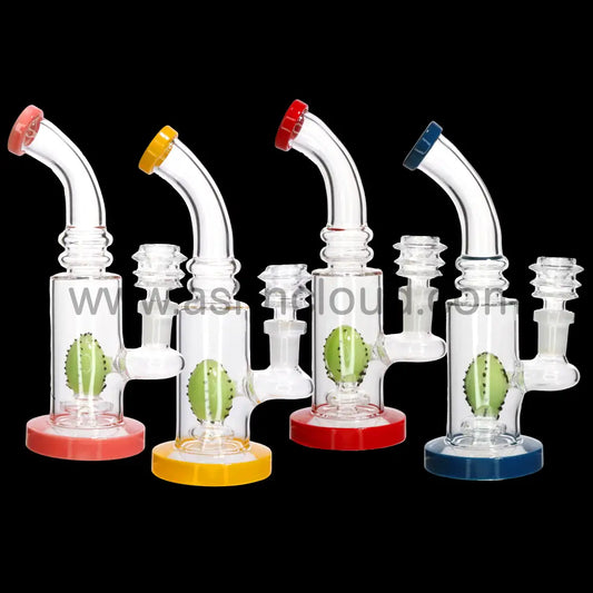 7’’ Cactus Perc Rig Bong Water Pipe | Wholesale Glass Bongs