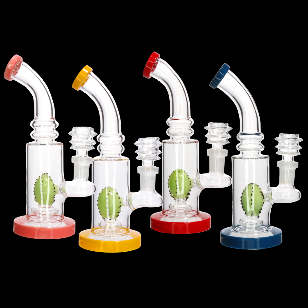 7" Cactus Perc Rig Bong Water Pipe | Wholesale Glass Bongs