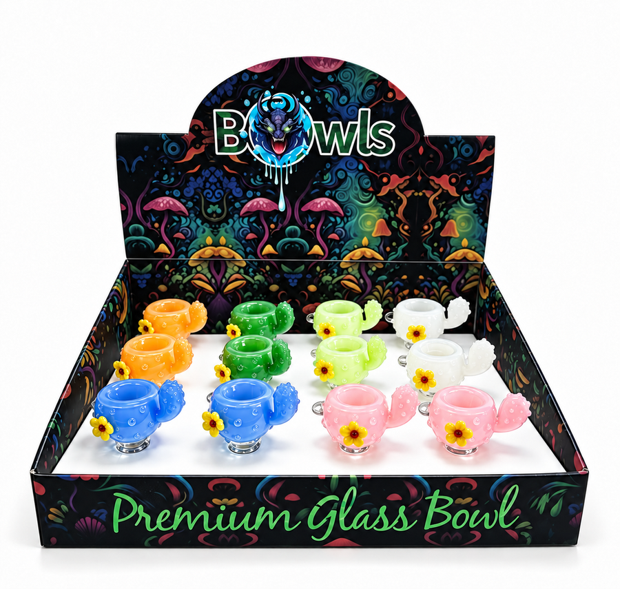 Cactus Flower Glass Bowl – 12 Pcs Display Box